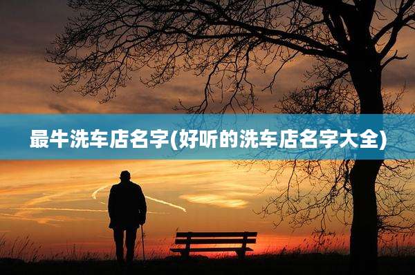 最牛洗车店名字(好听的洗车店名字大全)