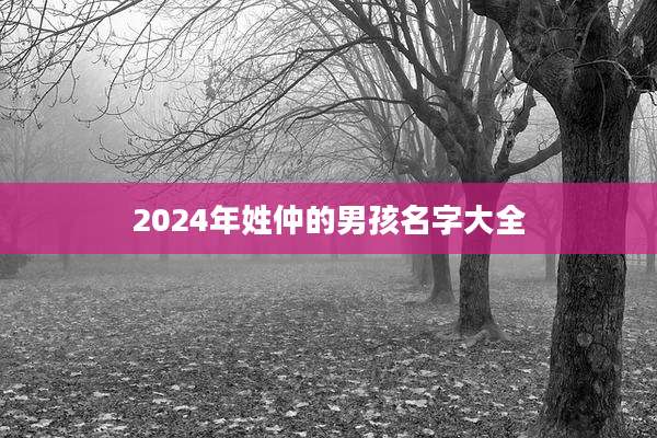 2024年姓仲的男孩名字大全