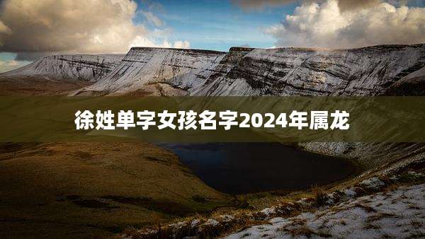 徐姓单字女孩名字2024年属龙