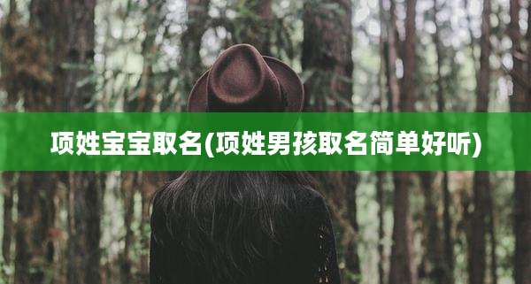 项姓宝宝取名(项姓男孩取名简单好听)