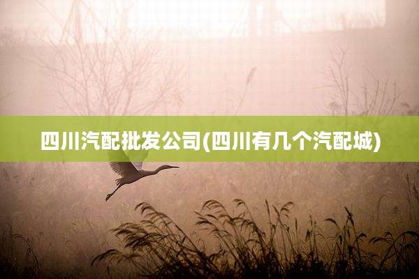 四川汽配批发公司(四川有几个汽配城)