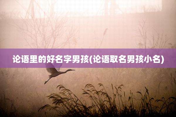 论语里的好名字男孩(论语取名男孩小名)