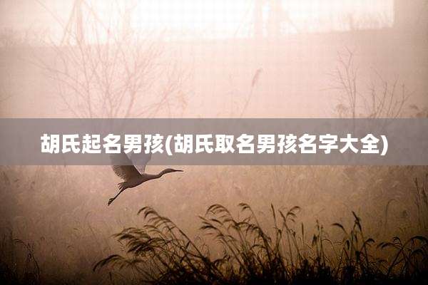胡氏起名男孩(胡氏取名男孩名字大全)