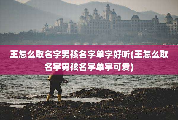 王怎么取名字男孩名字单字好听(王怎么取名字男孩名字单字可爱)