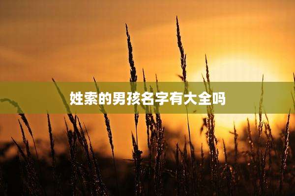 姓索的男孩名字有大全吗