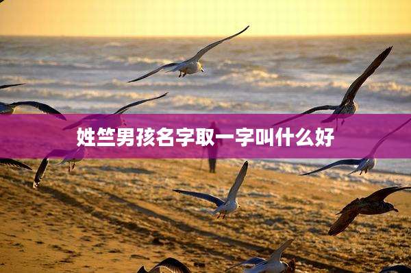 姓竺男孩名字取一字叫什么好