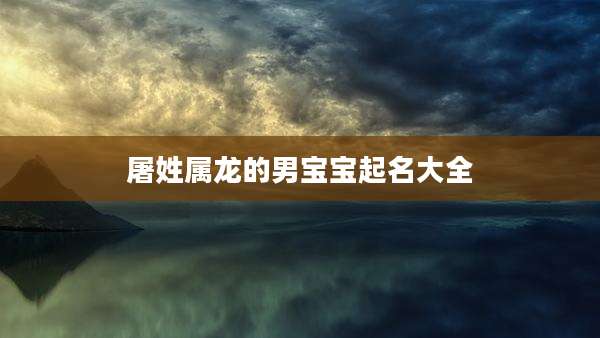 屠姓属龙的男宝宝起名大全