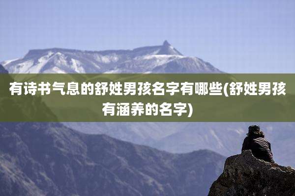 有诗书气息的舒姓男孩名字有哪些(舒姓男孩有涵养的名字)