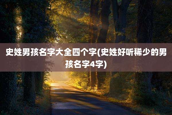史姓男孩名字大全四个字(史姓好听稀少的男孩名字4字)