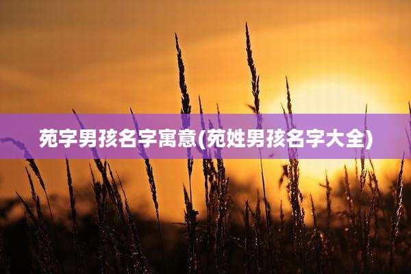 苑字男孩名字寓意(苑姓男孩名字大全)