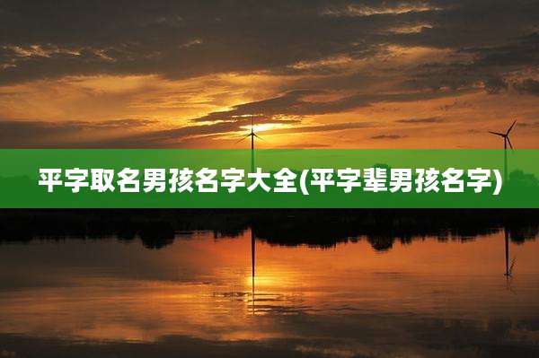 平字取名男孩名字大全(平字辈男孩名字)