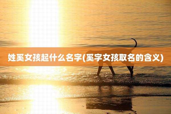 姓奚女孩起什么名字(奚字女孩取名的含义)