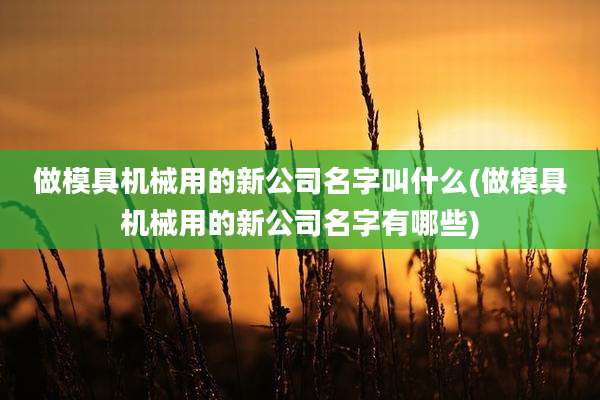 做模具机械用的新公司名字叫什么(做模具机械用的新公司名字有哪些)