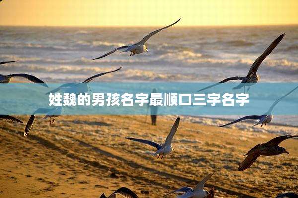 姓魏的男孩名字最顺口三字名字