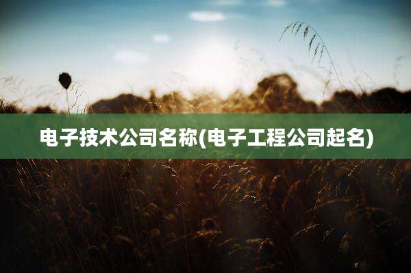 电子技术公司名称(电子工程公司起名)