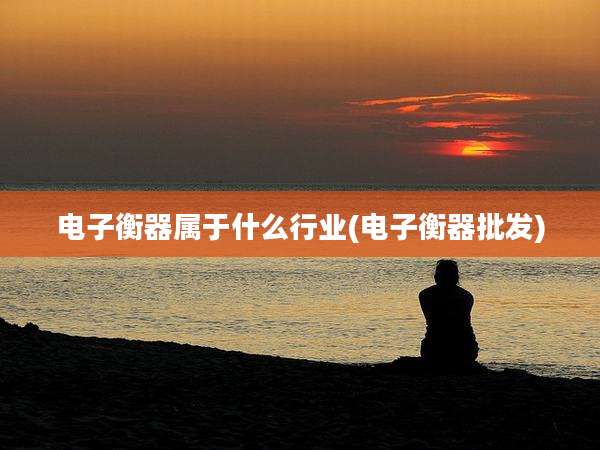 电子衡器属于什么行业(电子衡器批发)