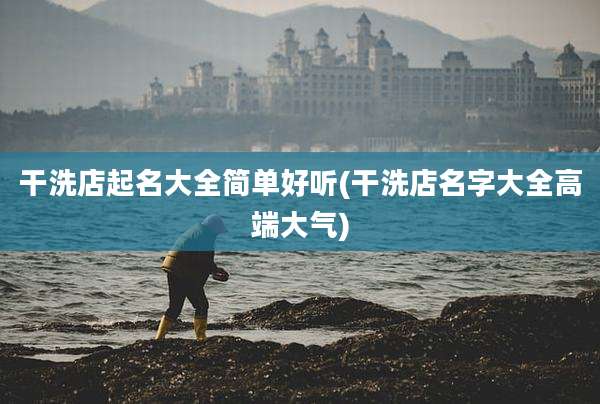干洗店起名大全简单好听(干洗店名字大全高端大气)