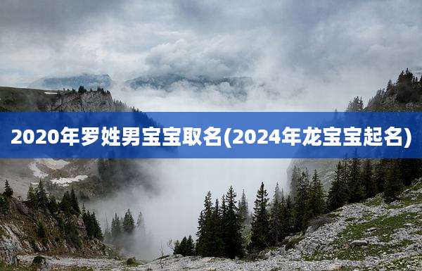 2020年罗姓男宝宝取名(2024年龙宝宝起名)