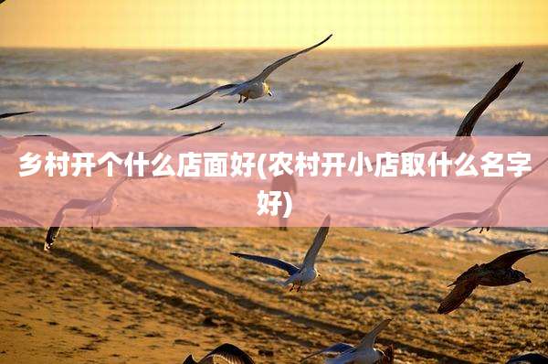 乡村开个什么店面好(农村开小店取什么名字好)