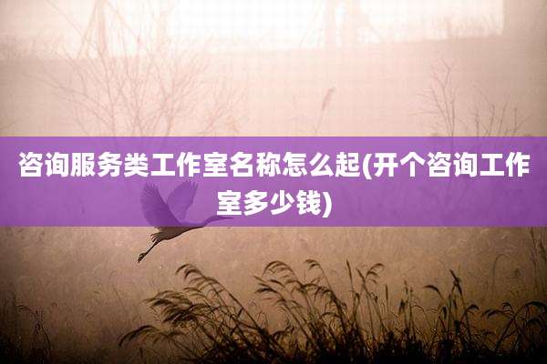 咨询服务类工作室名称怎么起(开个咨询工作室多少钱)