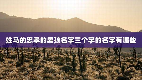 姓马的忠孝的男孩名字三个字的名字有哪些