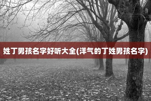 姓丁男孩名字好听大全(洋气的丁姓男孩名字)