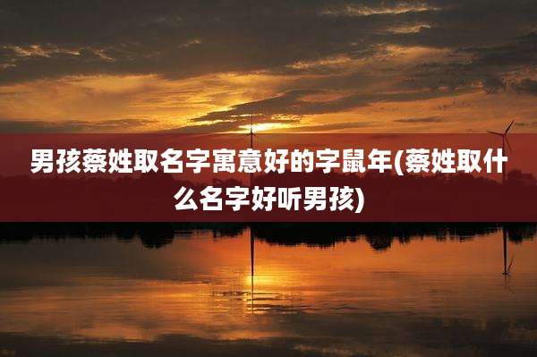 男孩蔡姓取名字寓意好的字鼠年(蔡姓取什么名字好听男孩)