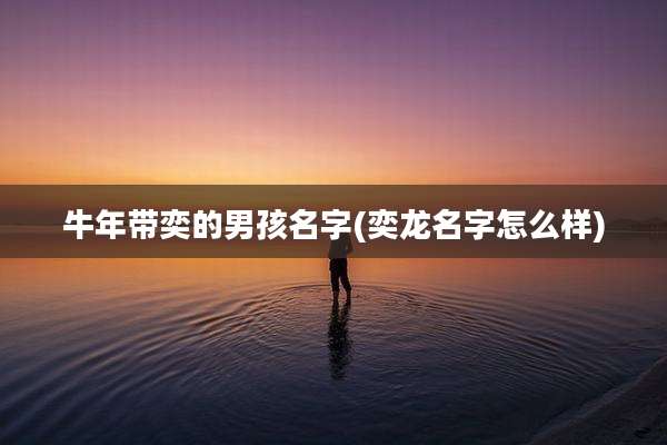 牛年带奕的男孩名字(奕龙名字怎么样)