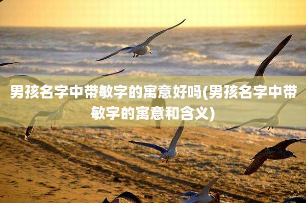 男孩名字中带敏字的寓意好吗(男孩名字中带敏字的寓意和含义)