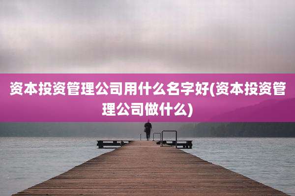 资本投资管理公司用什么名字好(资本投资管理公司做什么)