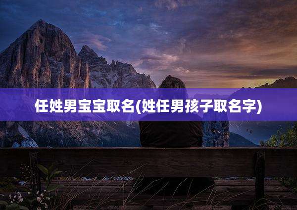 任姓男宝宝取名(姓任男孩子取名字)