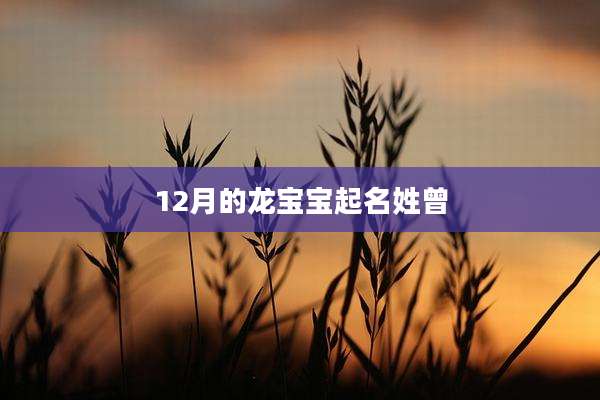 12月的龙宝宝起名姓曾