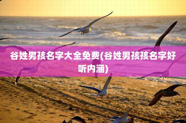 谷姓男孩名字大全免费(谷姓男孩孩名字好听内涵)
