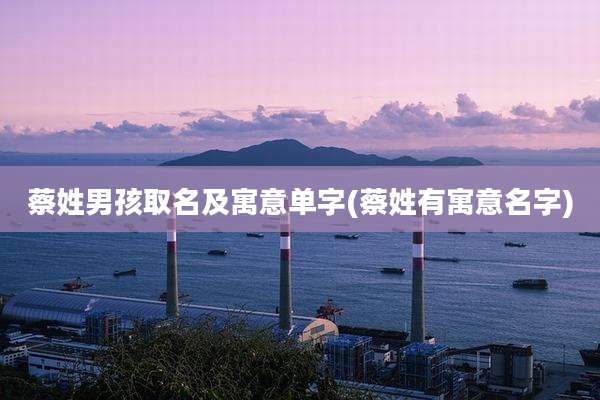 蔡姓男孩取名及寓意单字(蔡姓有寓意名字)