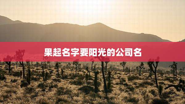 果起名字要阳光的公司名