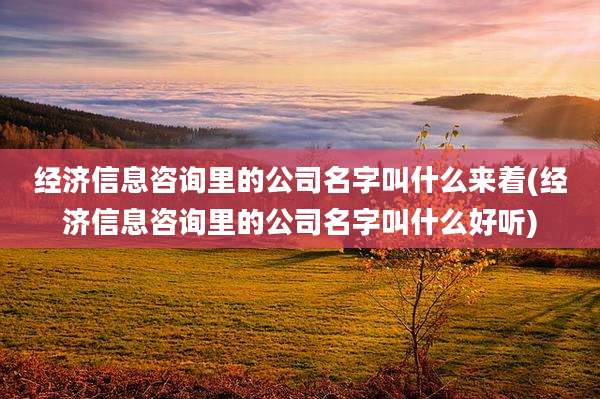 经济信息咨询里的公司名字叫什么来着(经济信息咨询里的公司名字叫什么好听)