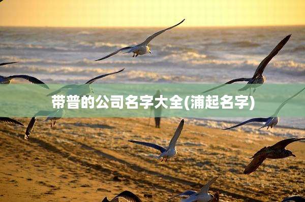 带普的公司名字大全(浦起名字)