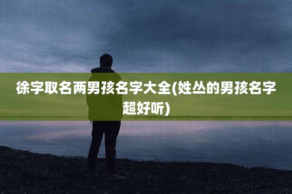 徐字取名两男孩名字大全(姓丛的男孩名字超好听)