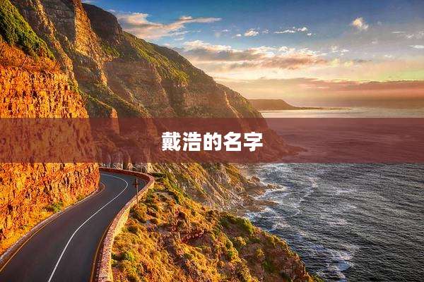 戴浩的名字