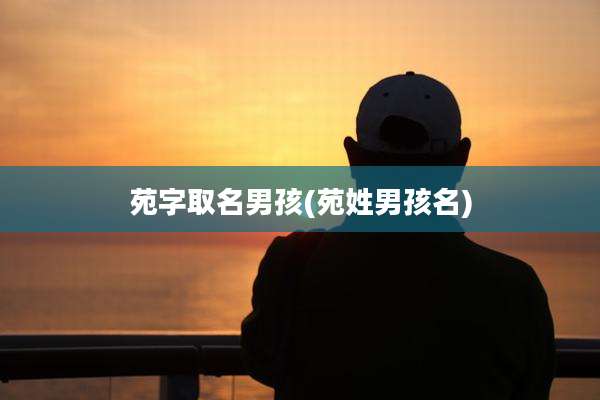 苑字取名男孩(苑姓男孩名)