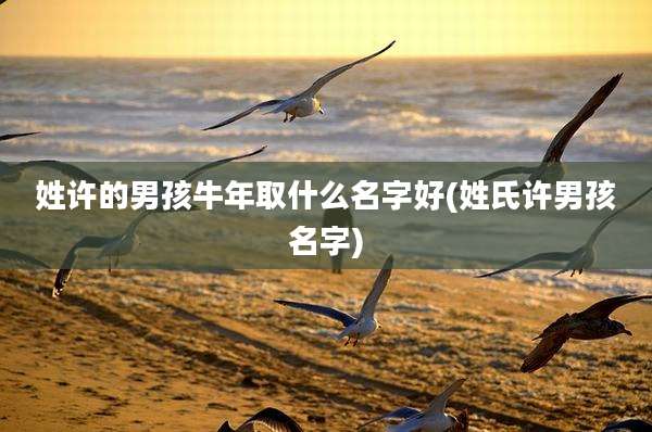 姓许的男孩牛年取什么名字好(姓氏许男孩名字)