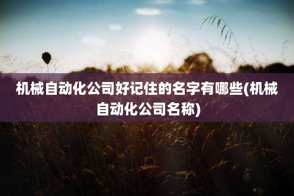 机械自动化公司好记住的名字有哪些(机械自动化公司名称)