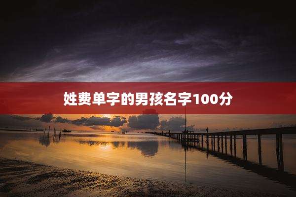 姓费单字的男孩名字100分