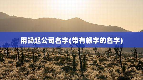 用畅起公司名字(带有畅字的名字)