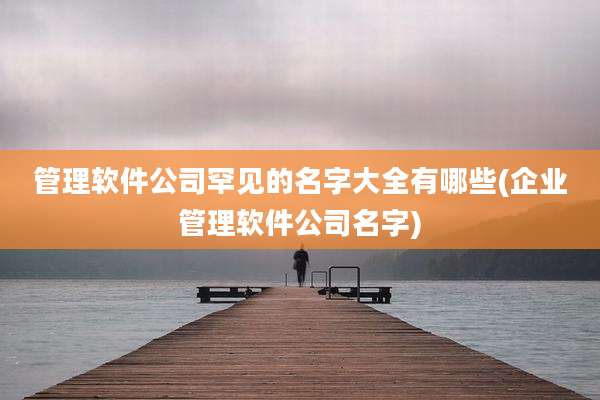 管理软件公司罕见的名字大全有哪些(企业管理软件公司名字)