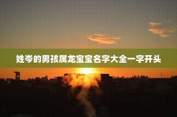 姓岑的男孩属龙宝宝名字大全一字开头