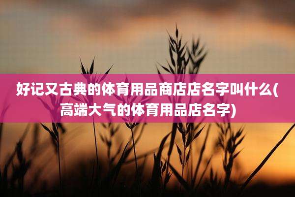 好记又古典的体育用品商店店名字叫什么(高端大气的体育用品店名字)