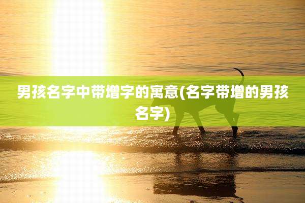 男孩名字中带增字的寓意(名字带增的男孩名字)