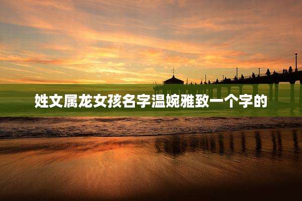 姓文属龙女孩名字温婉雅致一个字的