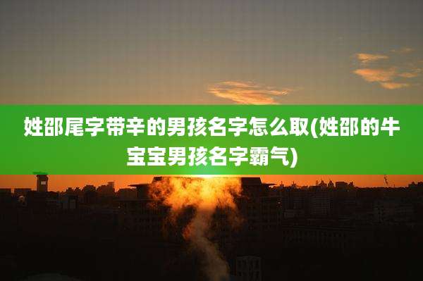 姓邵尾字带辛的男孩名字怎么取(姓邵的牛宝宝男孩名字霸气)